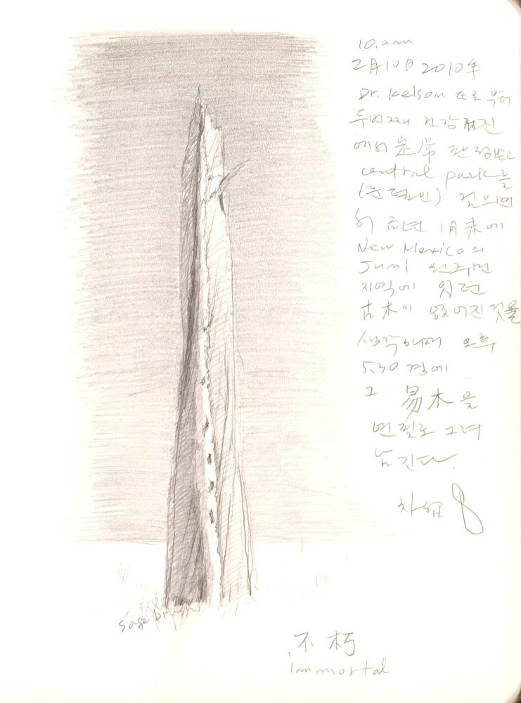 2009년 전후의 김차섭 구상노트