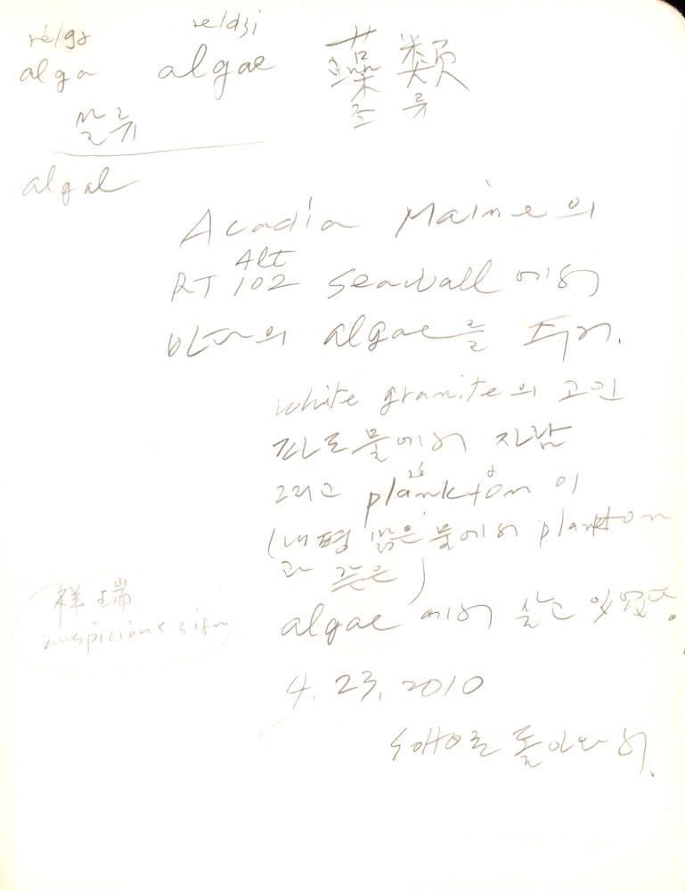 2009년 전후의 김차섭 구상노트