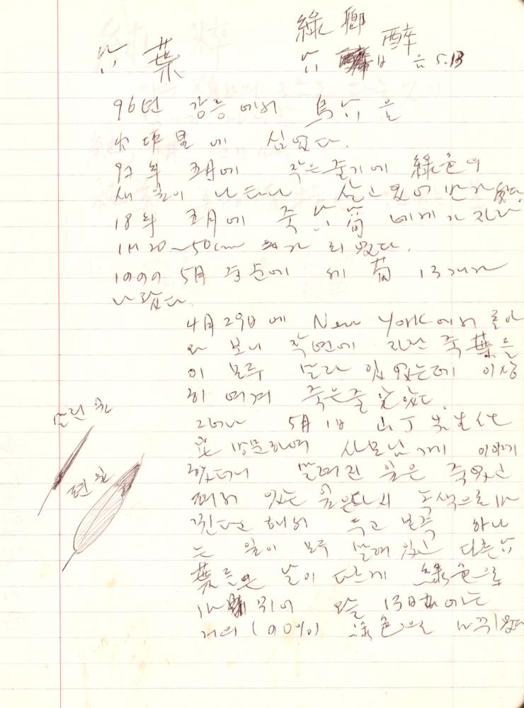 1999년 김차섭 구상노트 2 4