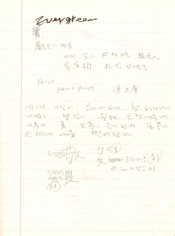 1999년 김차섭 구상노트 2