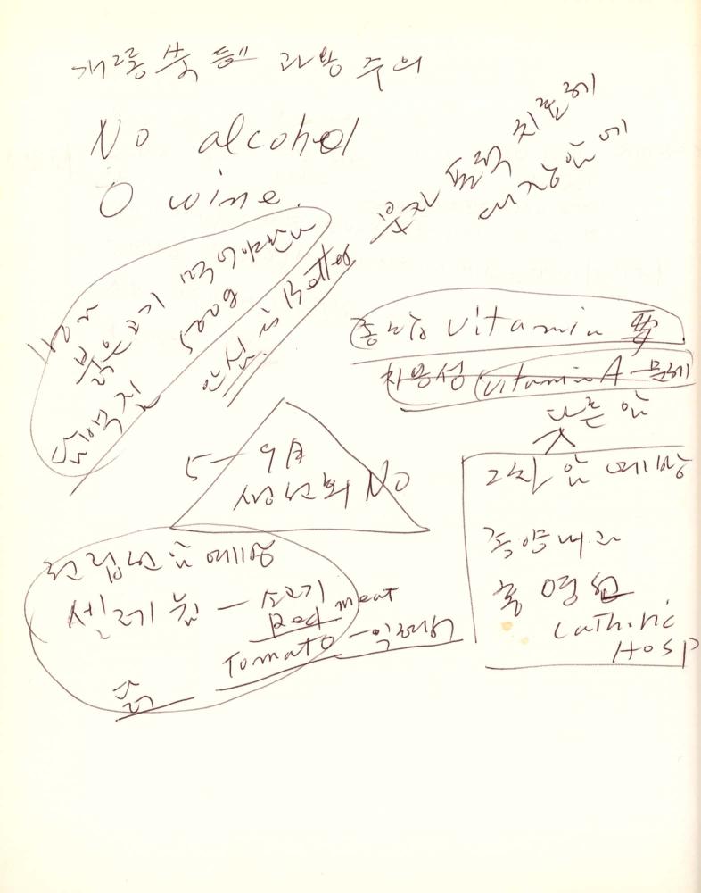 2012년 전후의 김차섭 구상노트 8