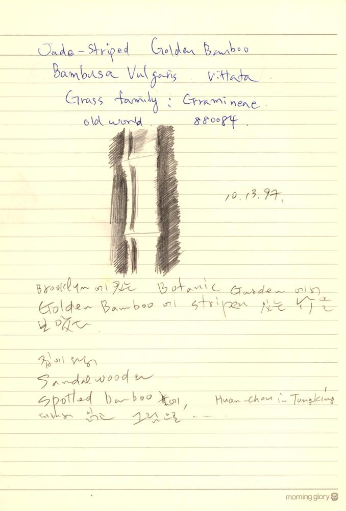 1997년부터 1998년까지 김차섭 구상노트