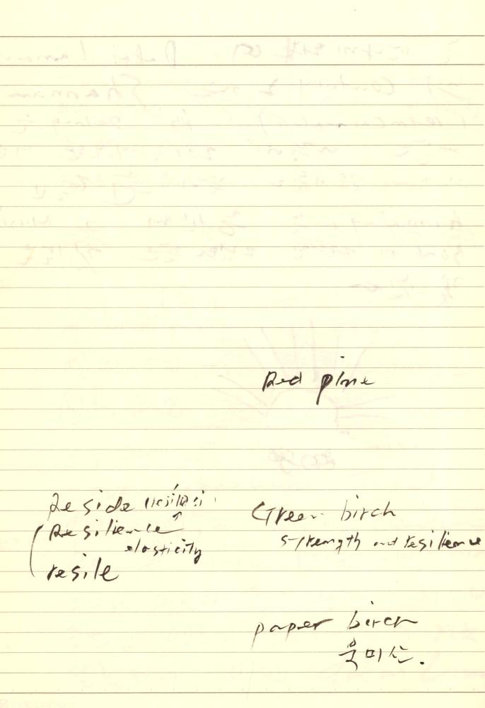 1997년부터 1998년까지 김차섭 구상노트