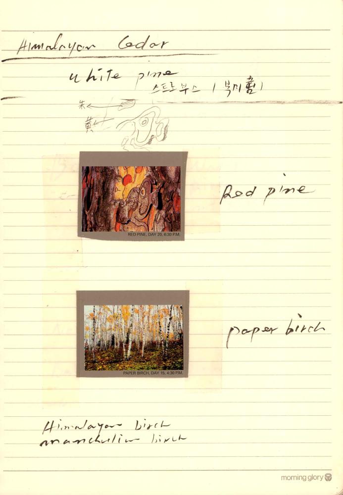 1997년부터 1998년까지 김차섭 구상노트