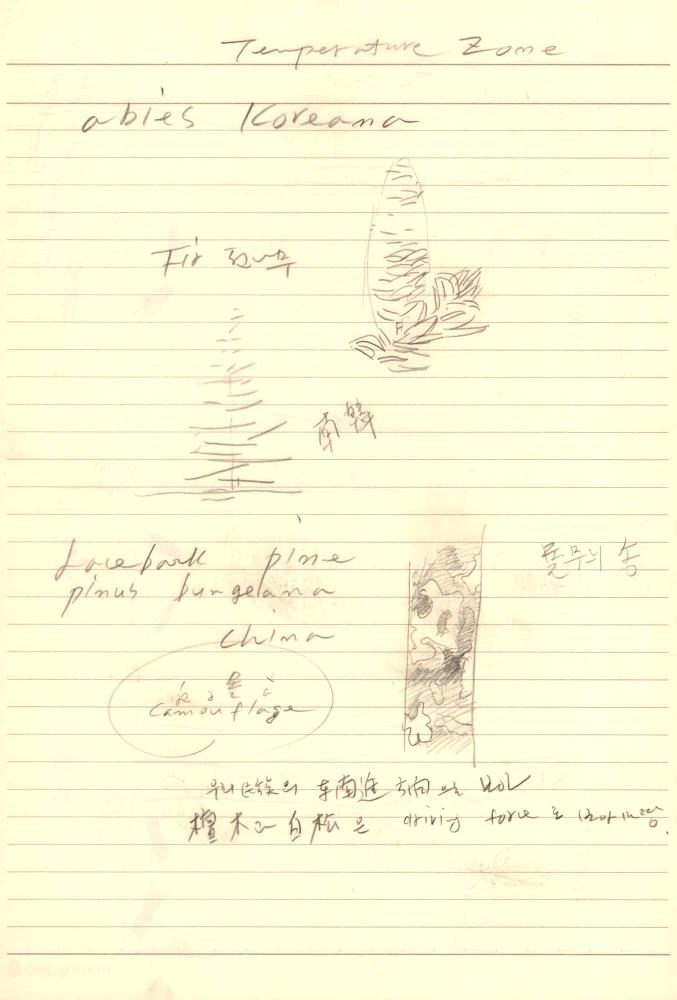 1997년부터 1998년까지 김차섭 구상노트