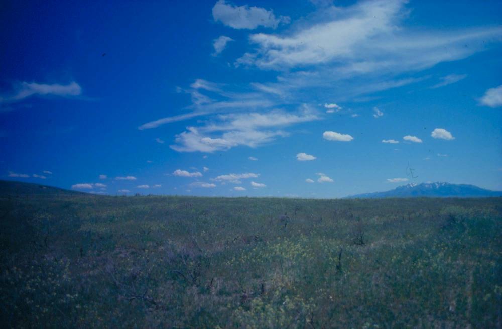 김차섭이 촬영한 풍경 사진