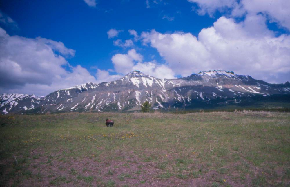 김차섭이 촬영한 풍경 사진