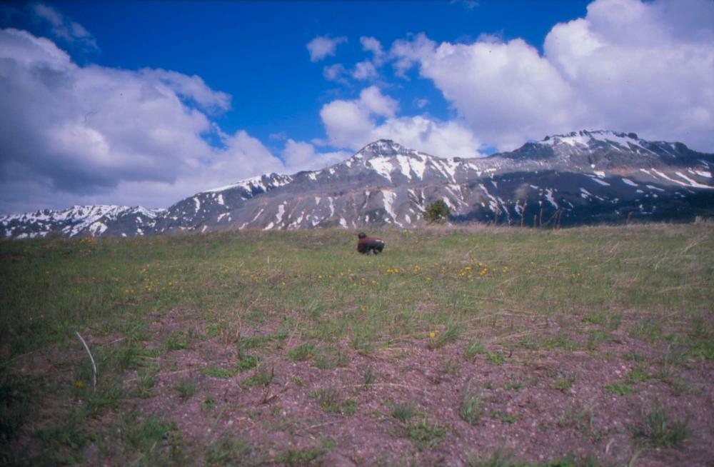김차섭이 촬영한 풍경 사진