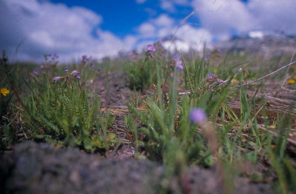 김차섭이 촬영한 풍경 사진