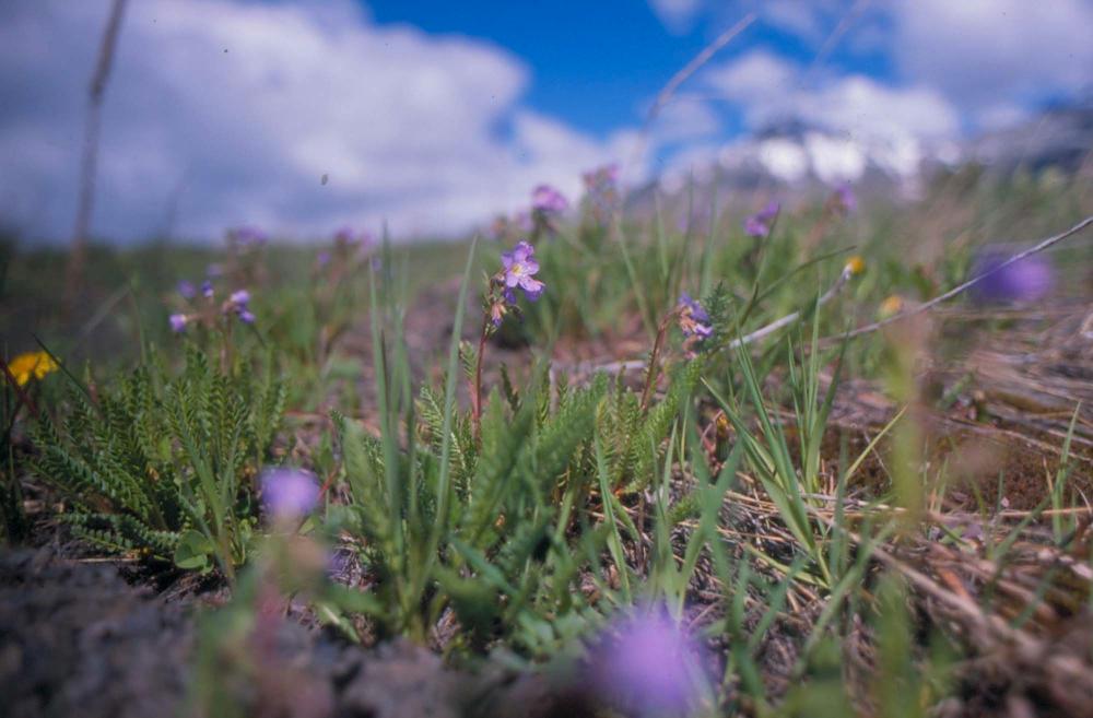 김차섭이 촬영한 풍경 사진