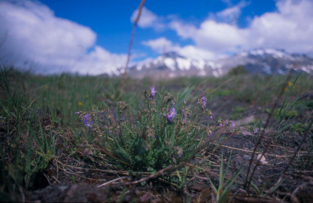 김차섭이 촬영한 풍경 사진