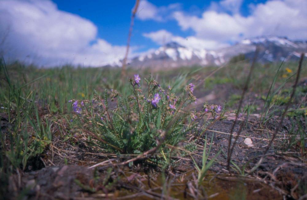 김차섭이 촬영한 풍경 사진