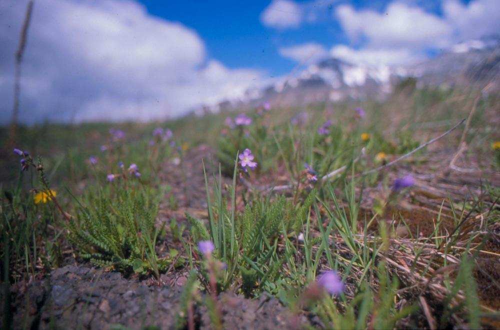 김차섭이 촬영한 풍경 사진