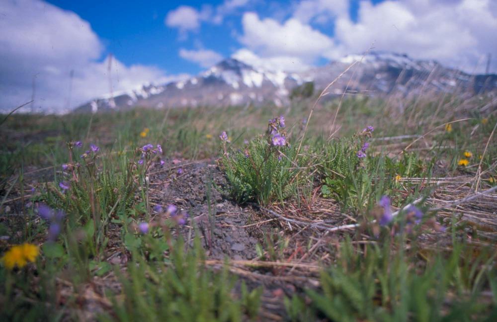 김차섭이 촬영한 풍경 사진