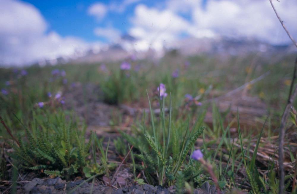 김차섭이 촬영한 풍경 사진