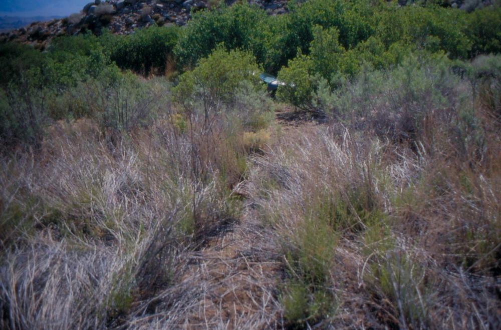 김차섭이 촬영한 풍경 사진