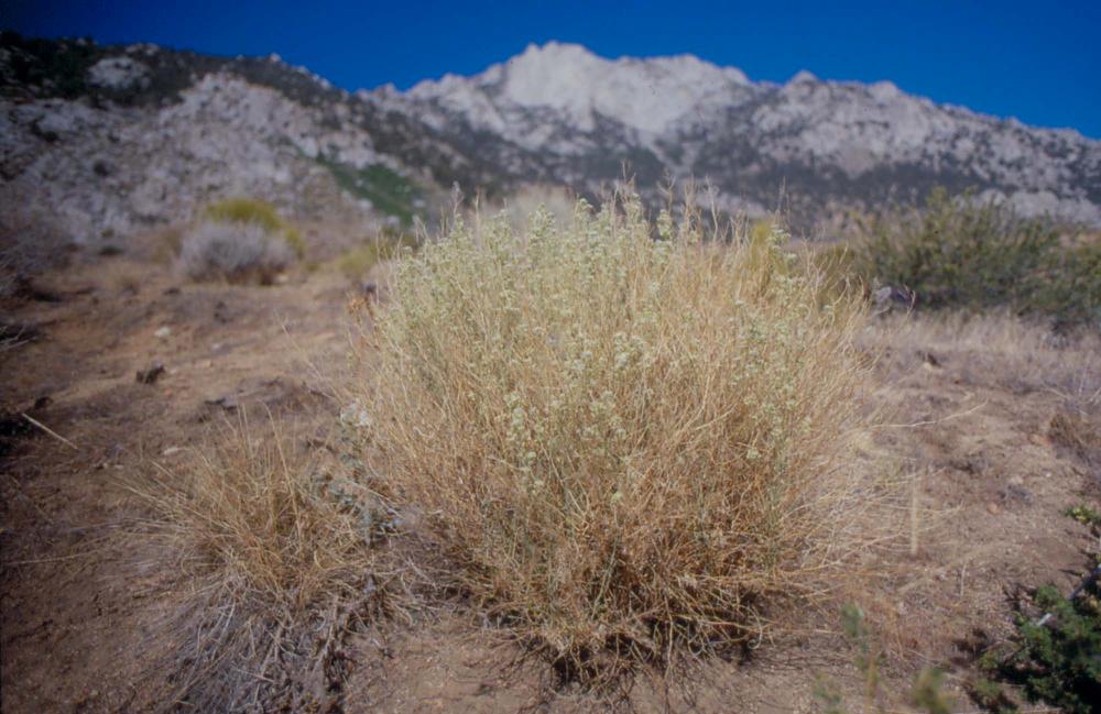 김차섭이 촬영한 풍경 사진