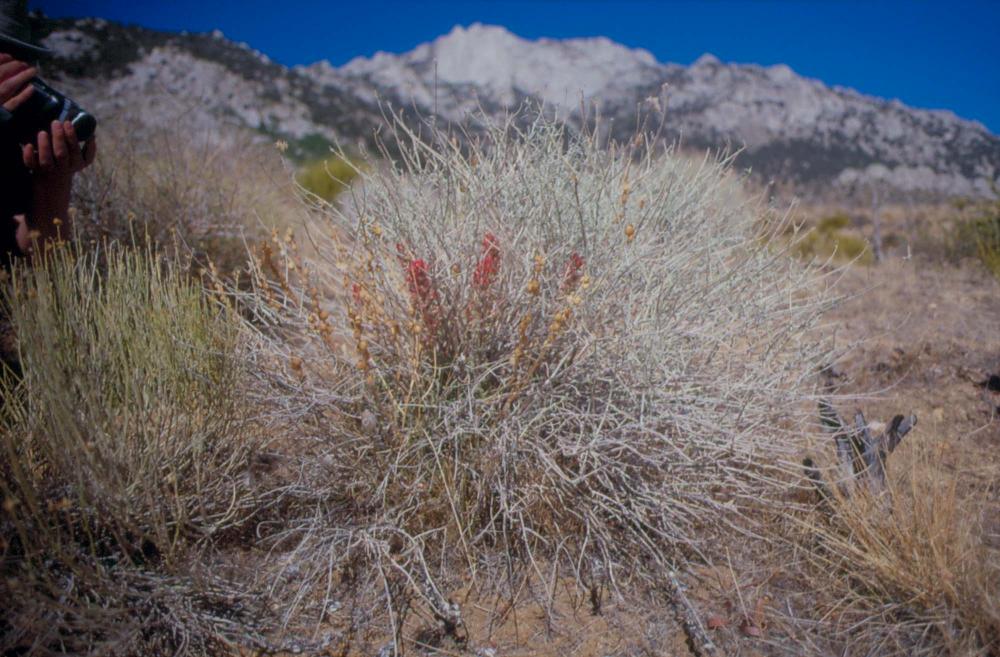 김차섭이 촬영한 풍경 사진