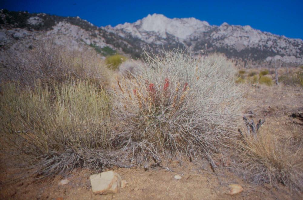 김차섭이 촬영한 풍경 사진