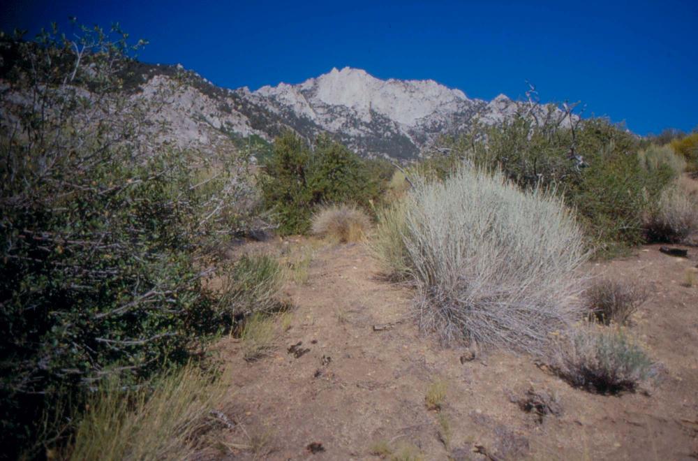 김차섭이 촬영한 풍경 사진