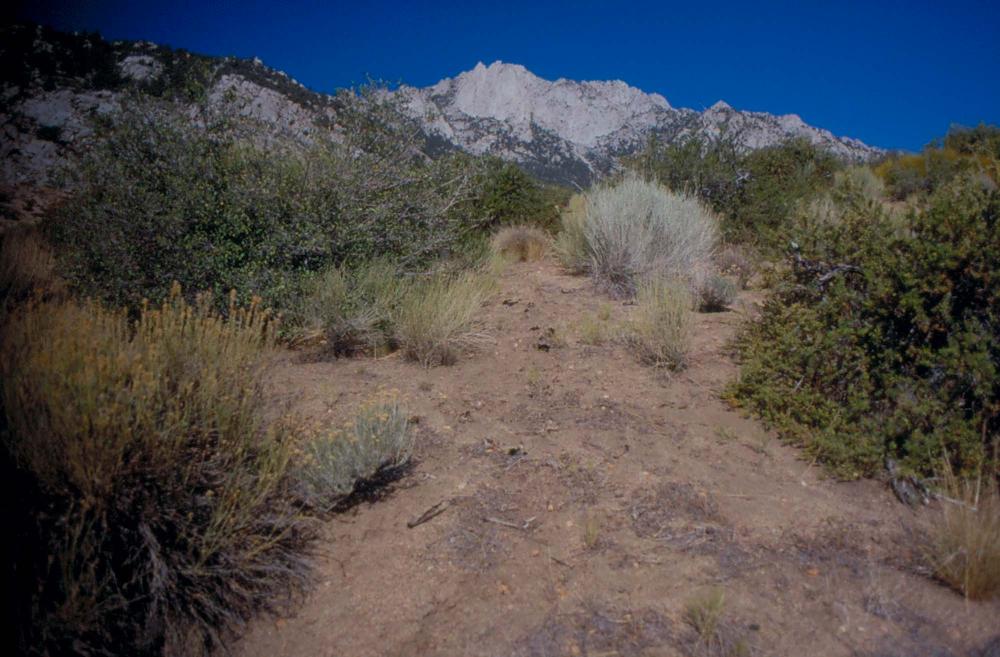 김차섭이 촬영한 풍경 사진