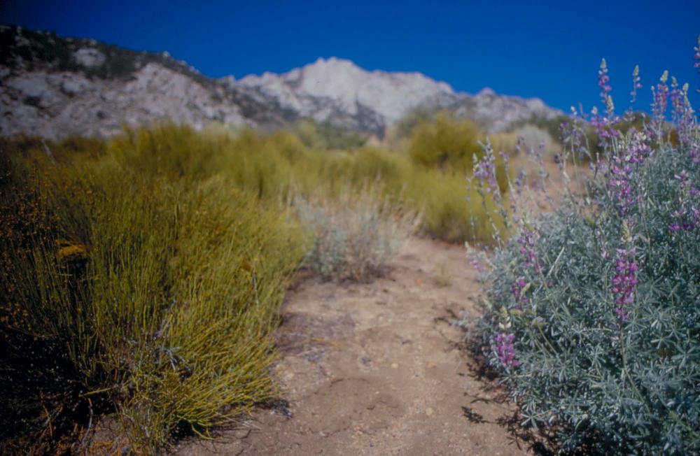 김차섭이 촬영한 풍경 사진
