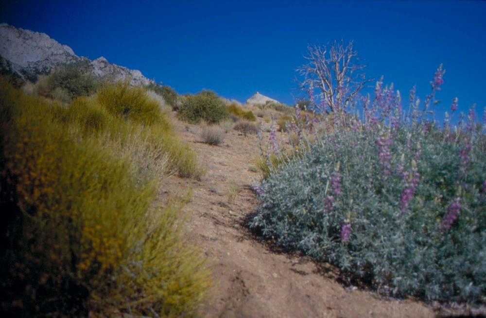 김차섭이 촬영한 풍경 사진