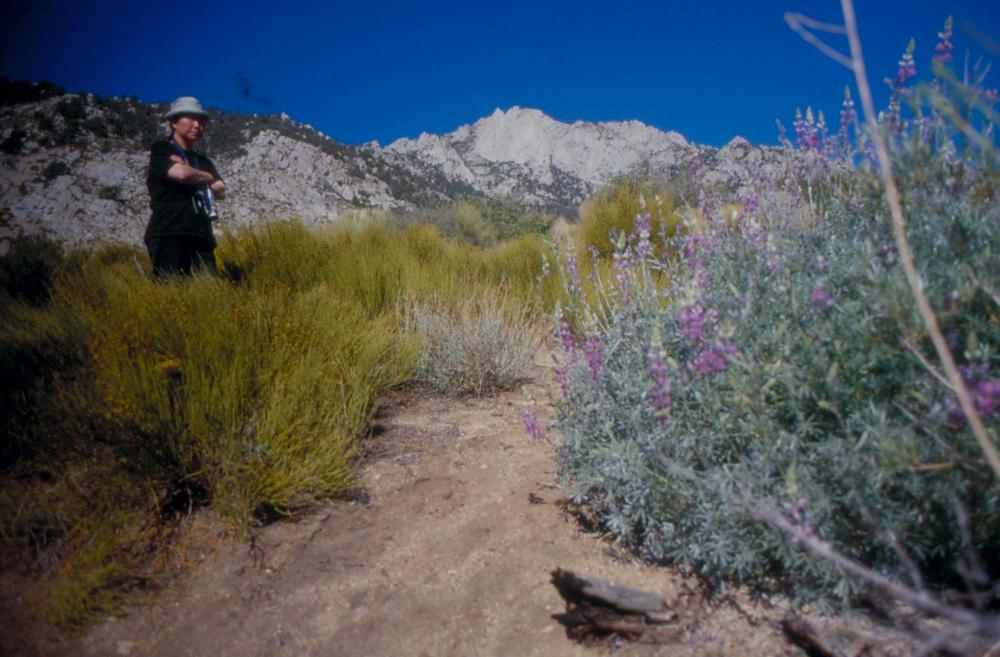 김차섭이 촬영한 풍경 사진