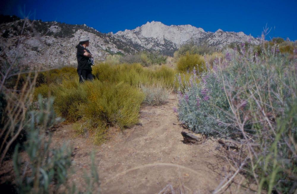 김차섭이 촬영한 풍경 사진