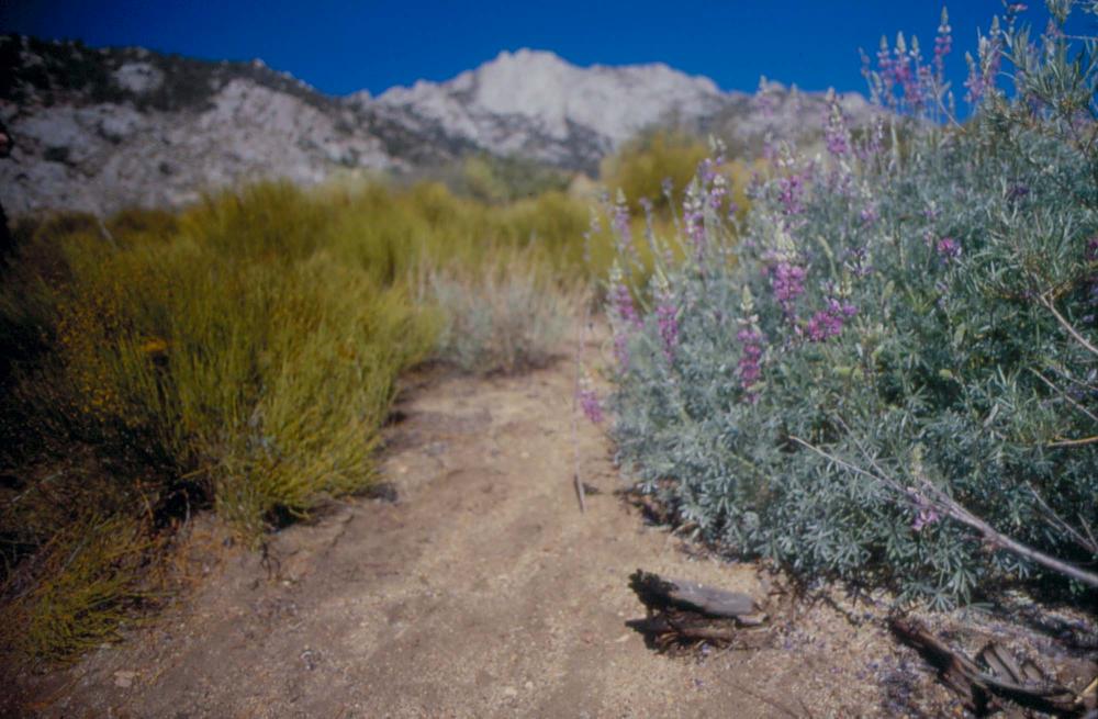 김차섭이 촬영한 풍경 사진