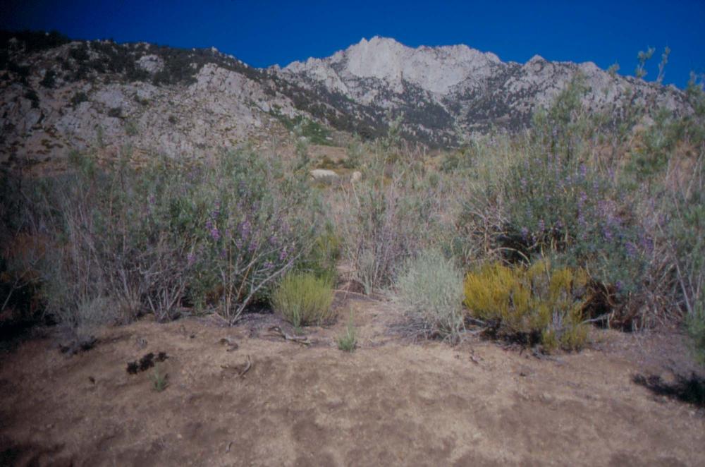 김차섭이 촬영한 풍경 사진