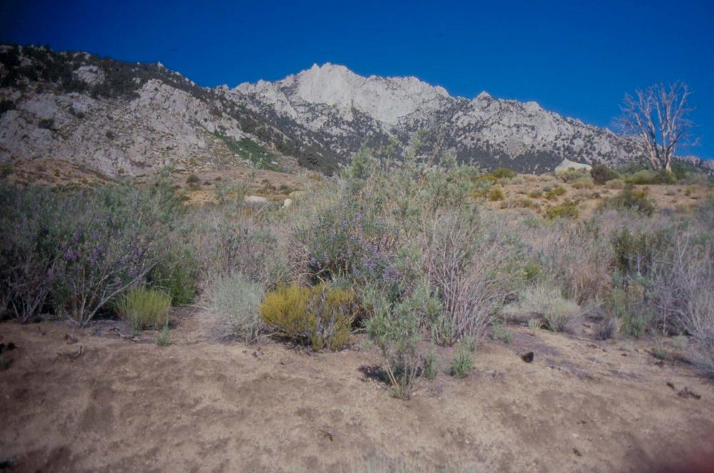 김차섭이 촬영한 풍경 사진