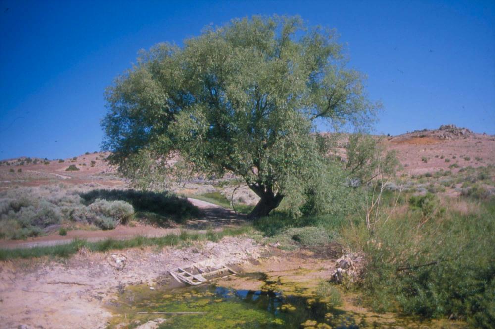 김차섭이 촬영한 풍경 사진