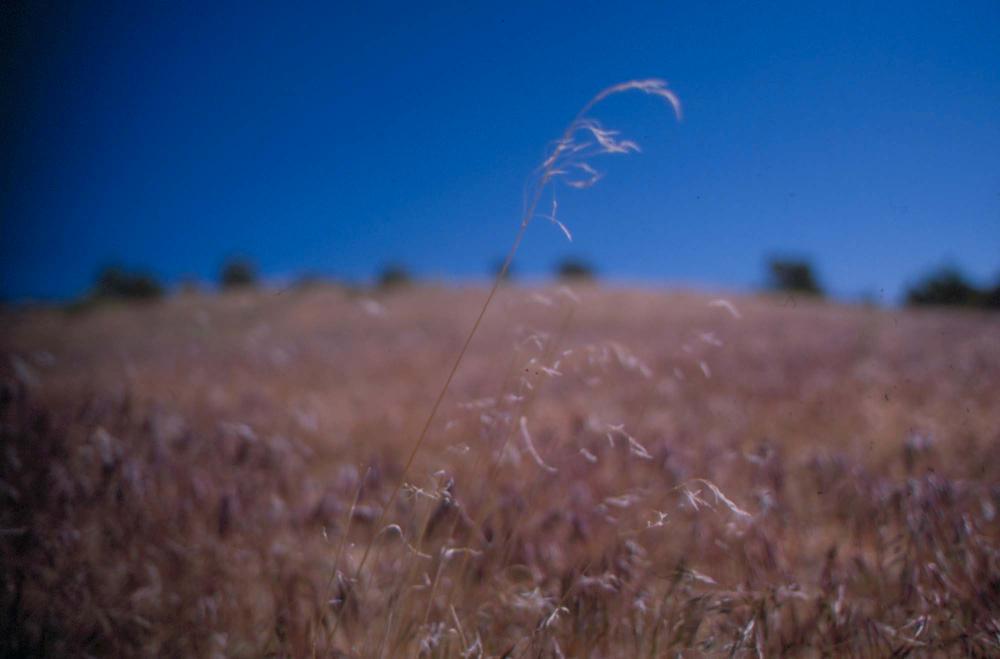 김차섭이 촬영한 풍경 사진