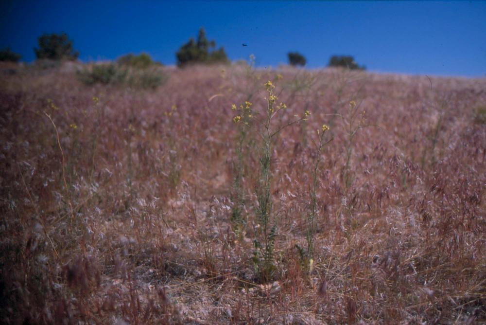 김차섭이 촬영한 풍경 사진