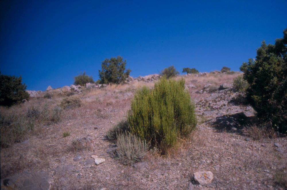 김차섭이 촬영한 풍경 사진