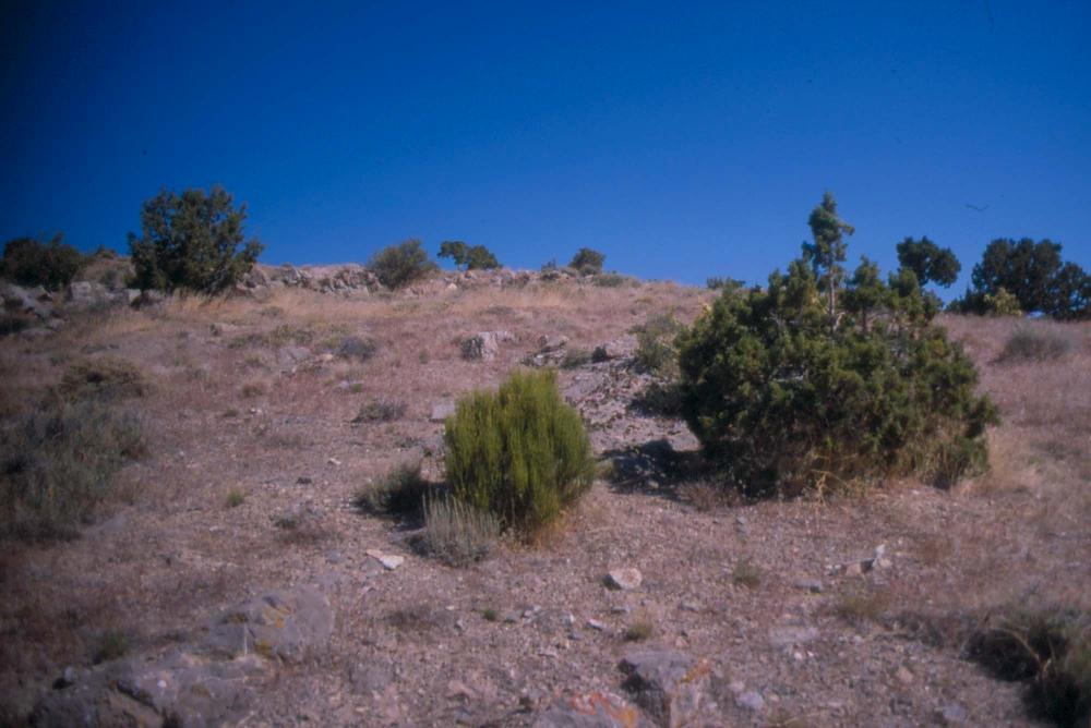 김차섭이 촬영한 풍경 사진