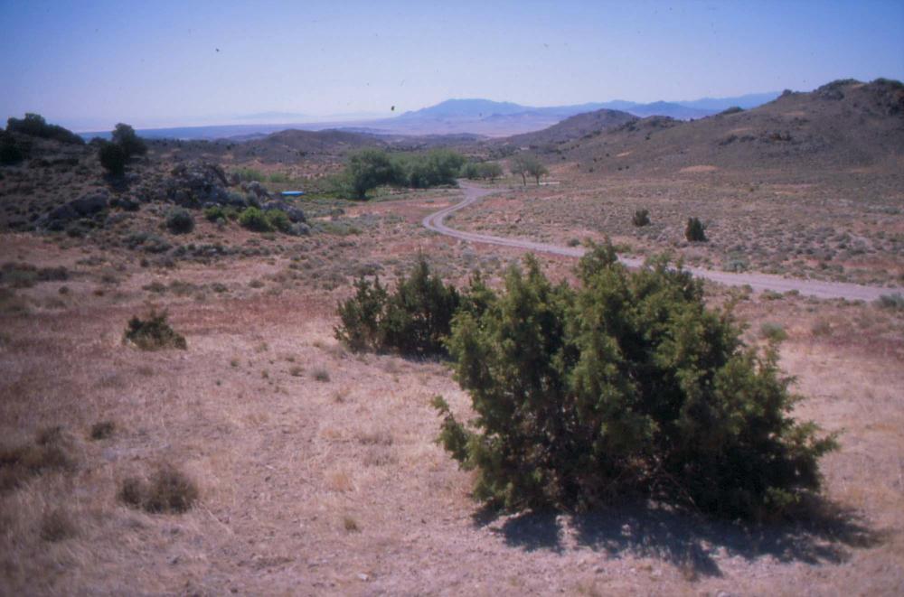 김차섭이 촬영한 풍경 사진