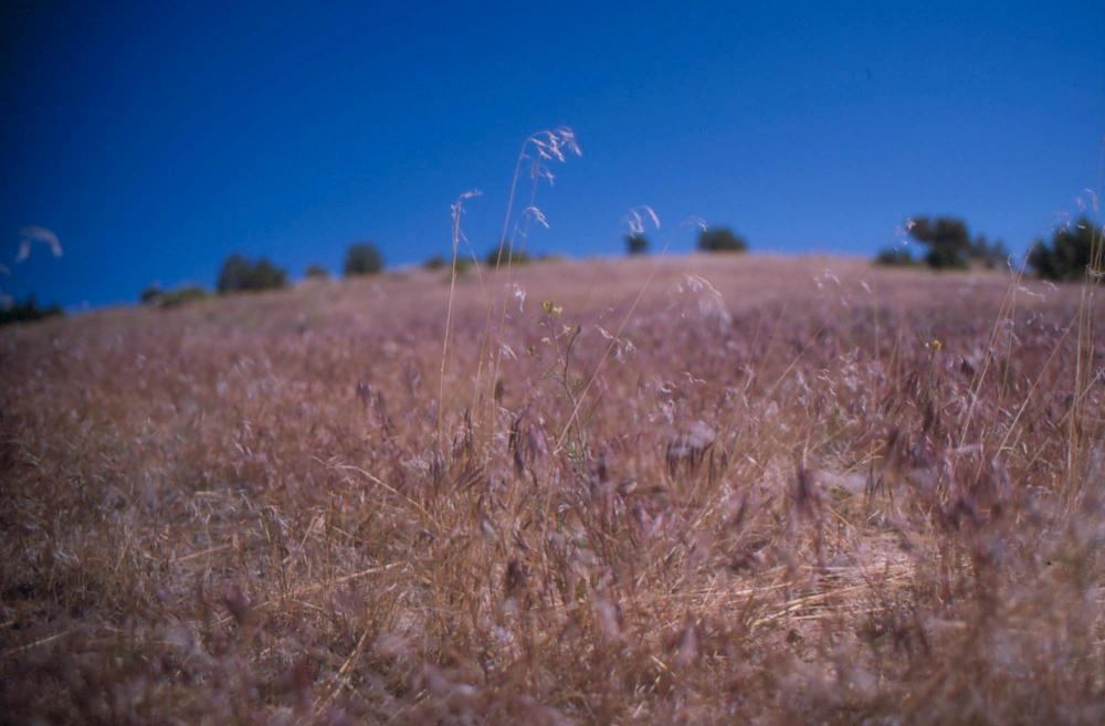 김차섭이 촬영한 풍경 사진