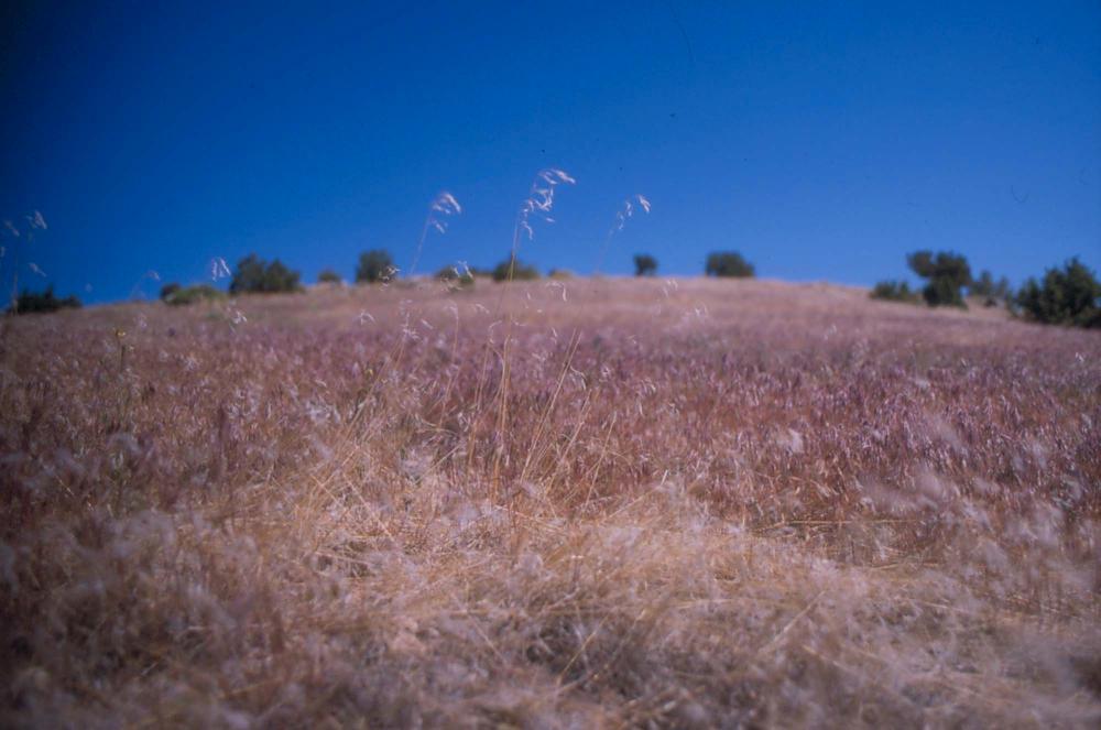 김차섭이 촬영한 풍경 사진