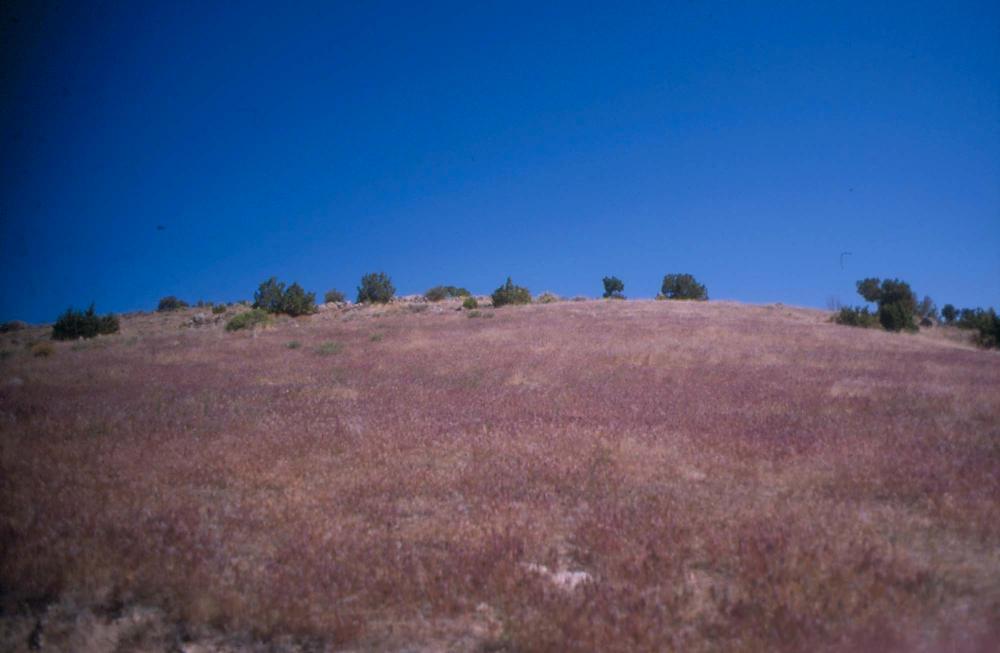 김차섭이 촬영한 풍경 사진