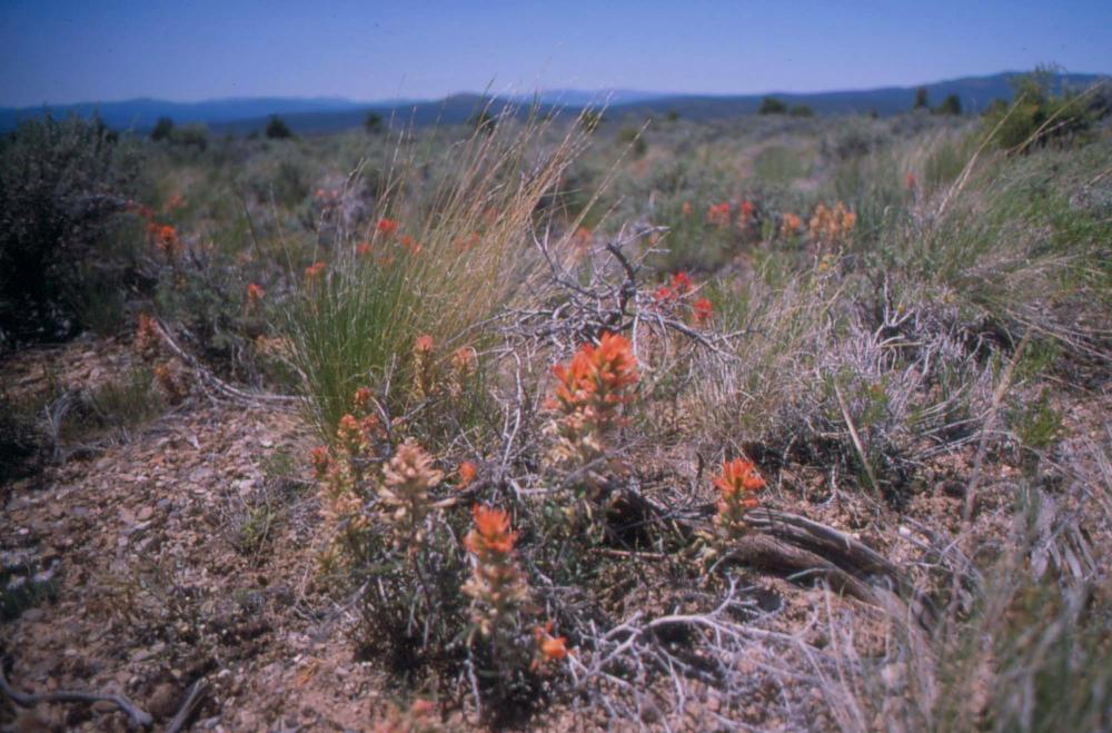 김차섭이 촬영한 풍경 사진