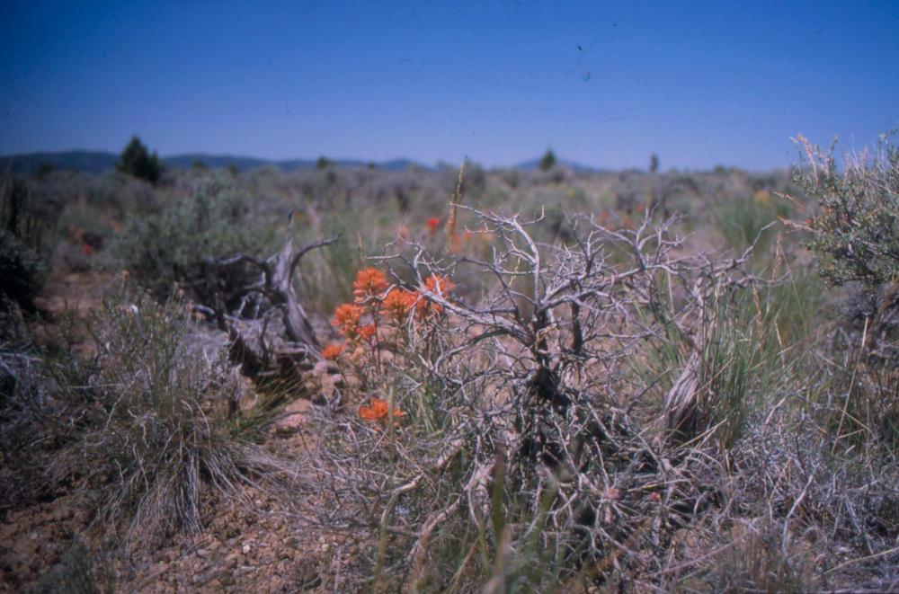 김차섭이 촬영한 풍경 사진