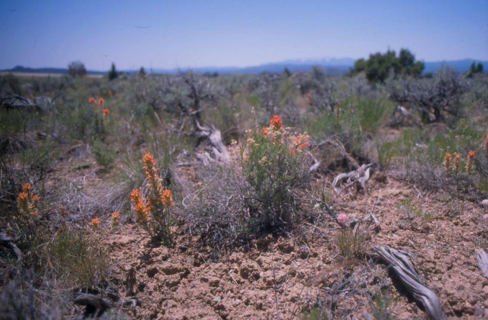 김차섭이 촬영한 풍경 사진