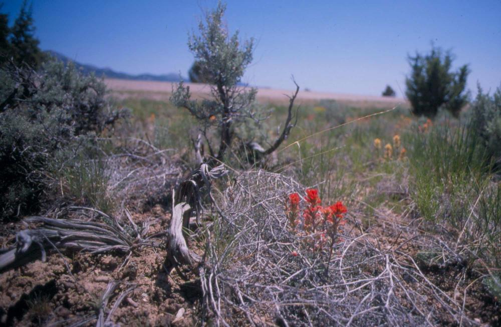 김차섭이 촬영한 풍경 사진