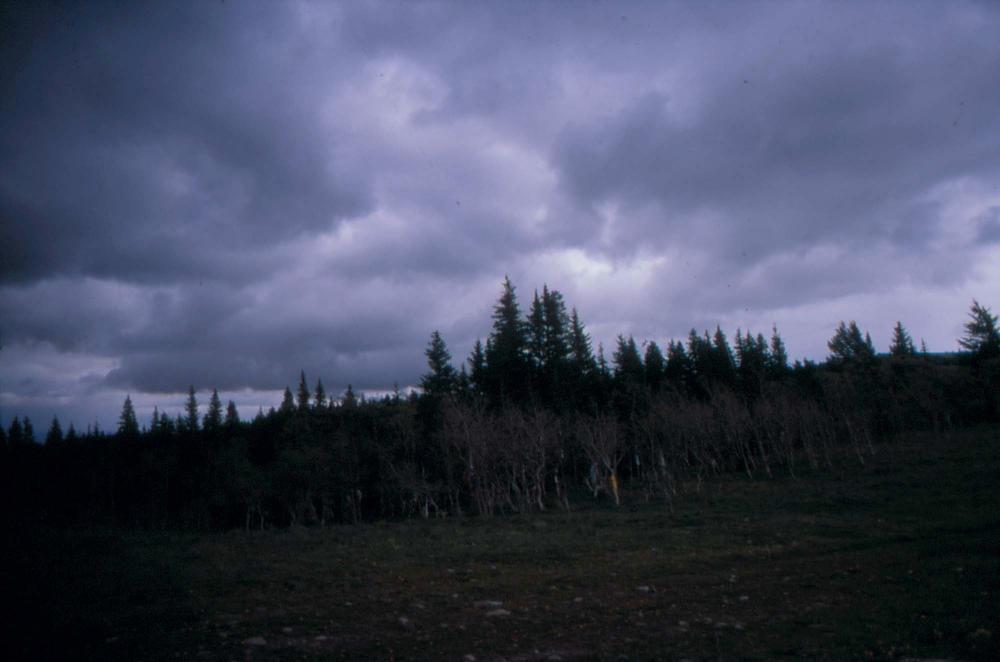 김차섭이 촬영한 풍경 사진