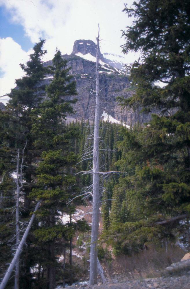 김차섭이 촬영한 풍경 사진