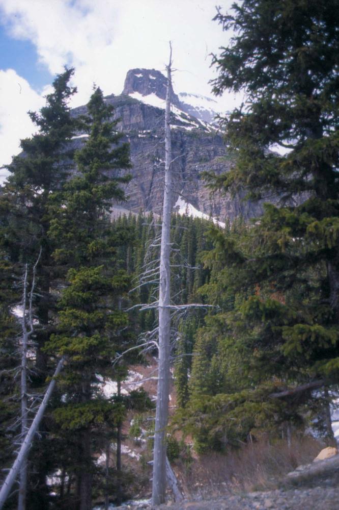김차섭이 촬영한 풍경 사진