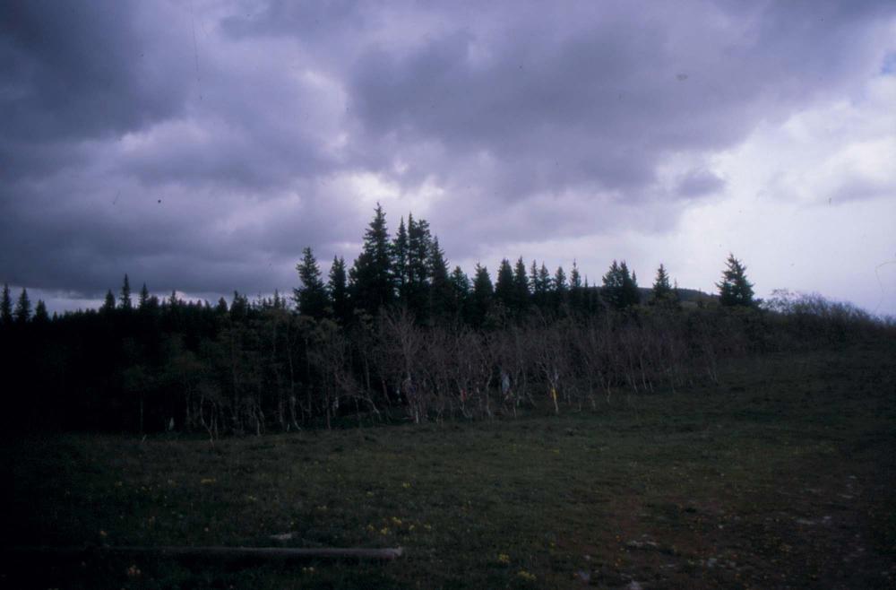 김차섭이 촬영한 풍경 사진