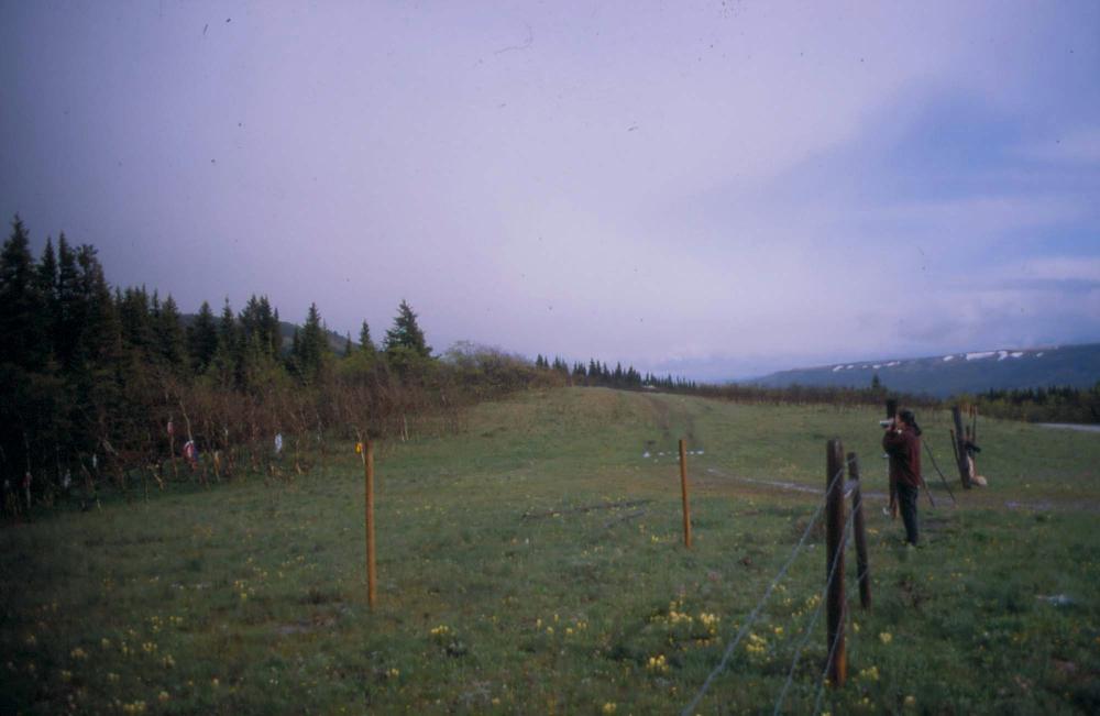 김차섭이 촬영한 풍경 사진